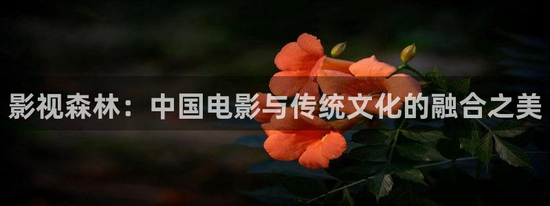 丝瓜视频黄瓜