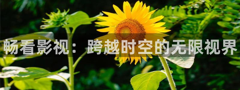 丝瓜视频无限看