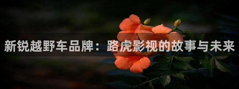 秋葵视频丝瓜