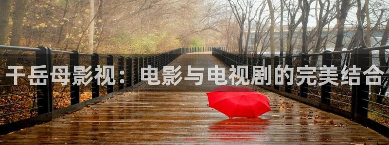 丝瓜图片