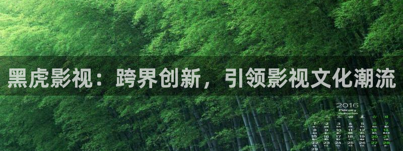 丝瓜的视频