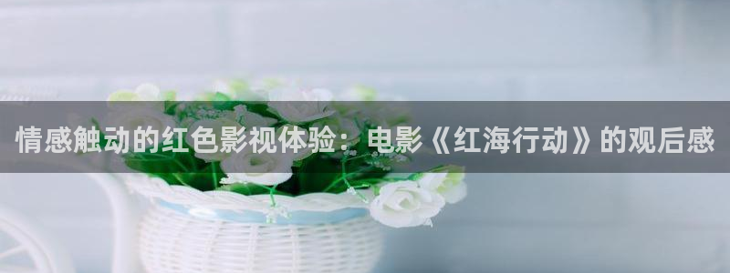 丝瓜免费视频观看